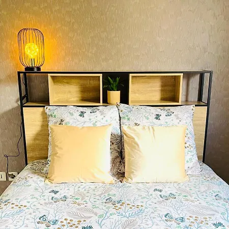 *le Golden Blue* Magnifique T3 A 5min Du Centre Avec Parking Gratuit