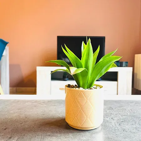 Apartamento *le Golden Blue* Magnifique T3 A 5min Du Centre Avec Parking Gratuit *