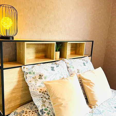 *le Golden Blue* Magnifique T3 A 5min Du Centre Avec Parking Gratuit 公寓 沃尔斯河畔的贝勒加德